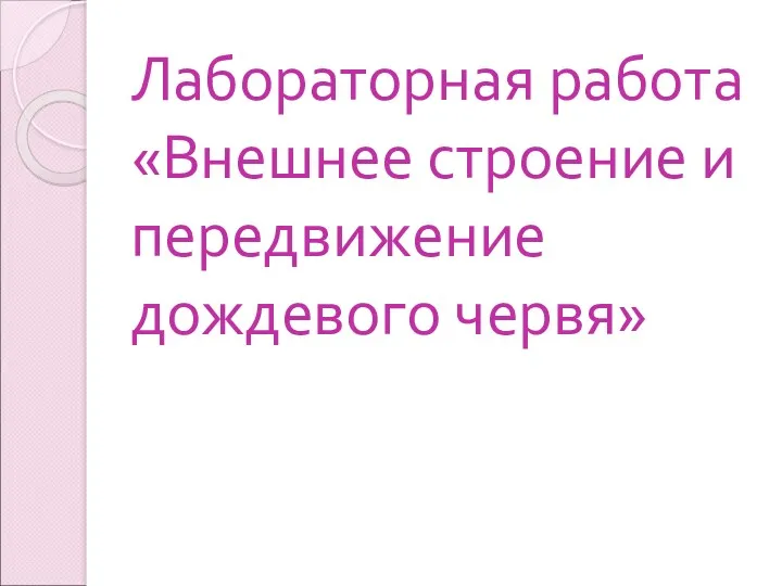 Лабораторная работа «Внешнее строение и передвижение дождевого червя»