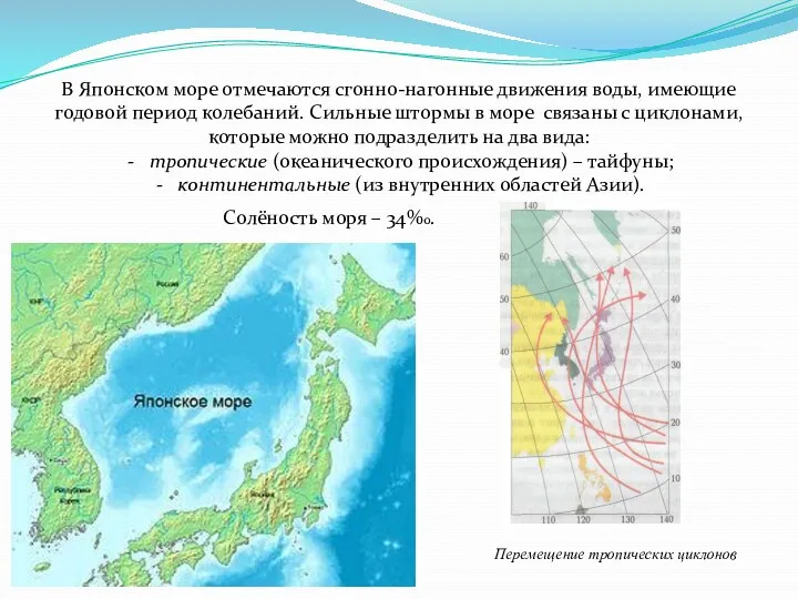 В Японском море отмечаются сгонно-нагонные движения воды, имеющие годовой период