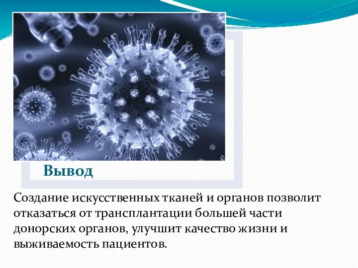 Создание искусственных тканей и органов позволит отказаться от трансплантации большей части донорских органов,