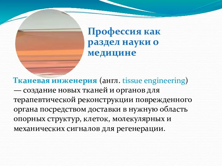 Тканевая инженерия (англ. tissue engineering) — создание новых тканей и органов для терапевтической