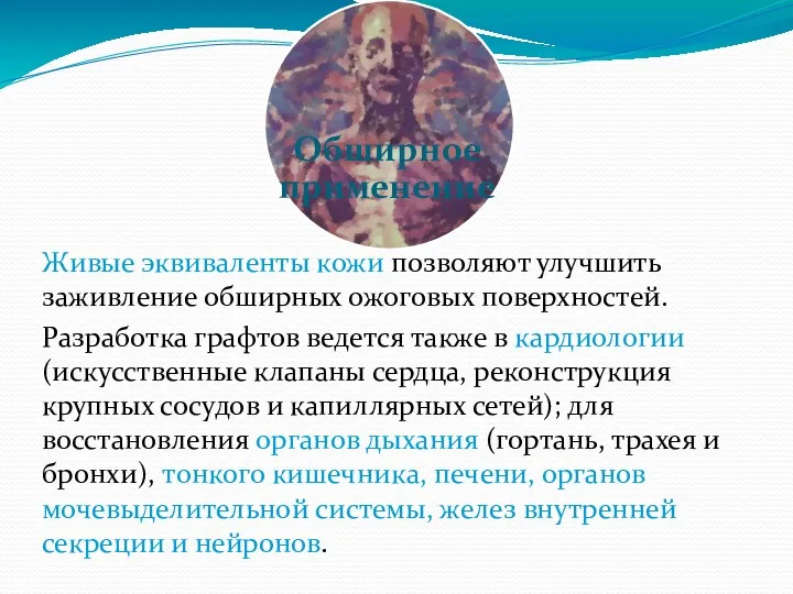 Живые эквиваленты кожи позволяют улучшить заживление обширных ожоговых поверхностей. Разработка графтов ведется также