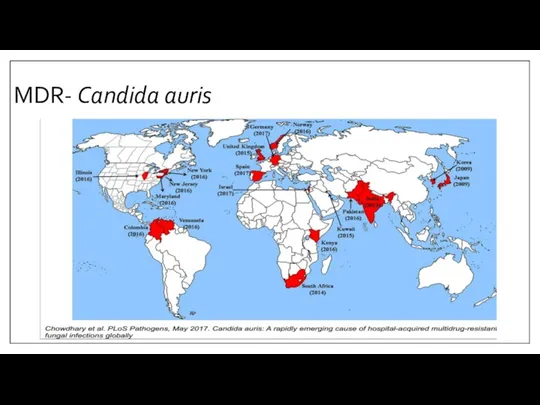 MDR- Candida auris