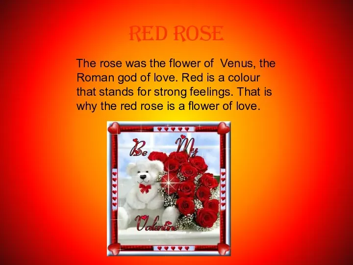 RED ROSE The rose was the flower of Venus, the