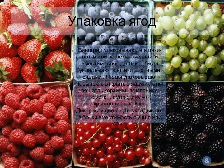 Упаковка ягод Виноград упаковывают в ящики-лотки или решётчатые ящики вместимостью
