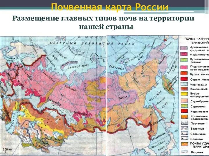 Почвенная карта России Размещение главных типов почв на территории нашей страны