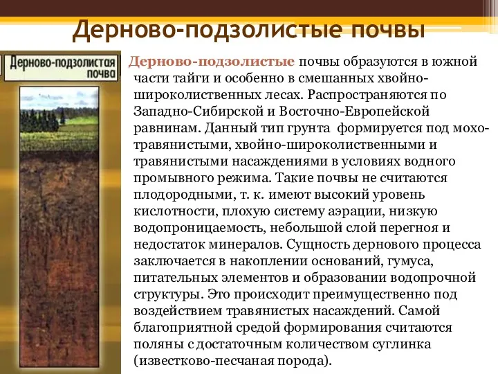 Дерново-подзолистые почвы Дерново-подзолистые почвы образуются в южной части тайги и