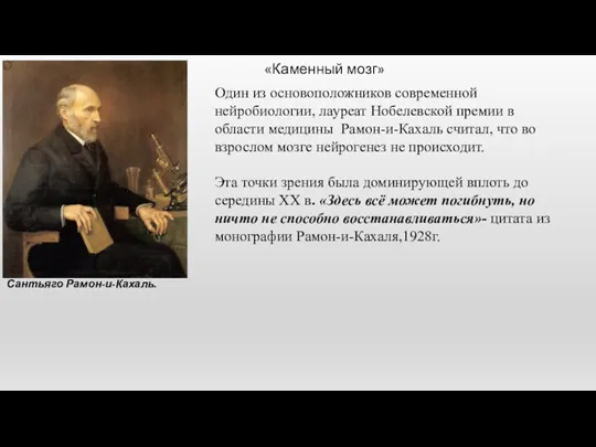 Сантьяго Рамон-и-Кахаль. «Каменный мозг» Один из основоположников современной нейробиологии, лауреат