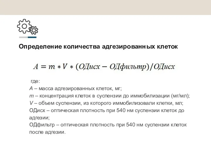 Определение количества адгезированных клеток где: А – масса адгезированных клеток,