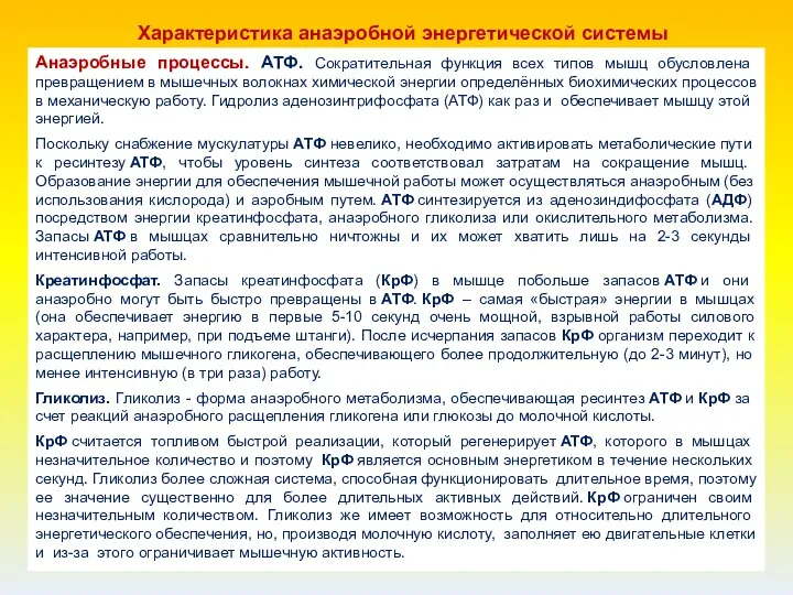 Анаэробные процессы. АТФ. Сократительная функция всех типов мышц обусловлена превращением