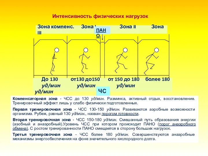 Компенсаторная зона - ЧСС до 130 уд/мин. Разминка, активный отдых,