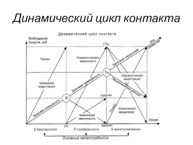 Динамический цикл контакта