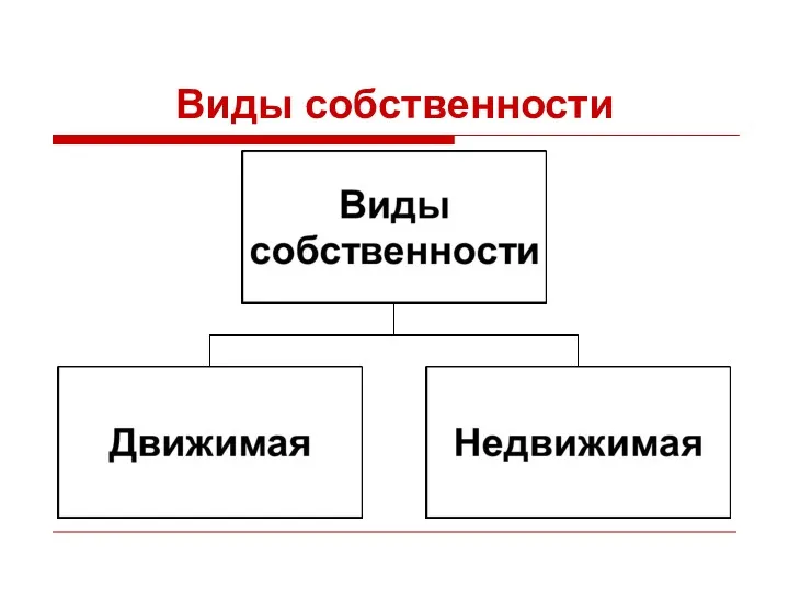 Виды собственности