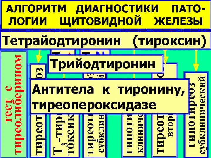 ТТГ ↑ тиреотоксикоз ТТГ ↓ ТТГ N Т4↑ Т4↓ Т4N