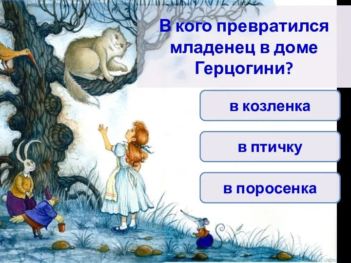 В кого превратился младенец в доме Герцогини? в козленка в поросенка в птичку