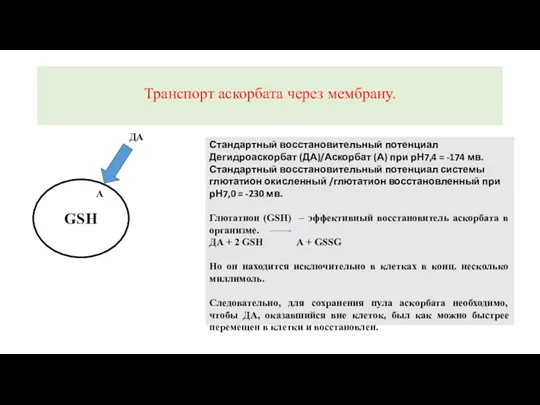 Транспорт аскорбата через мембрану. Стандартный восстановительный потенциал Дегидроаскорбат (ДА)/Аскорбат (А)