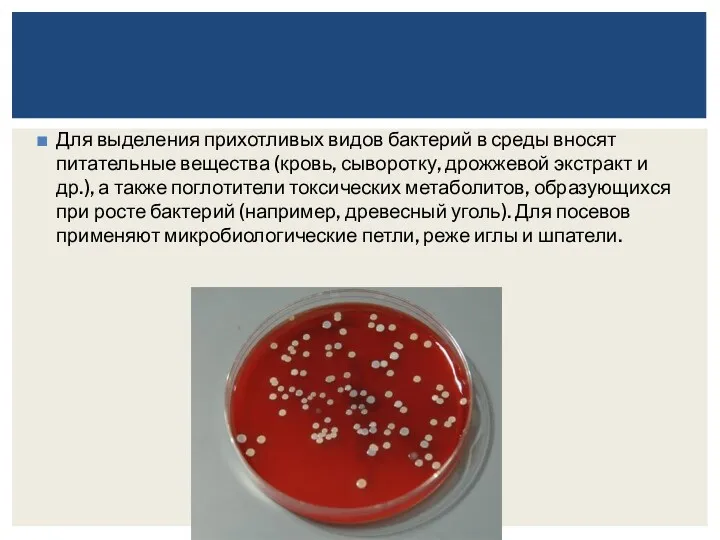 Для выделения прихотливых видов бактерий в среды вносят питательные вещества (кровь, сыворотку, дрожжевой