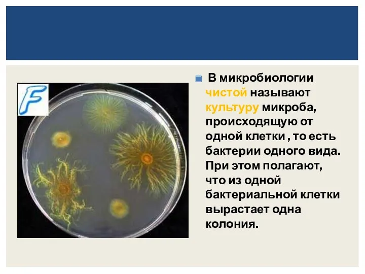 В микробиологии чистой называют культуру микроба, происходящую от одной клетки