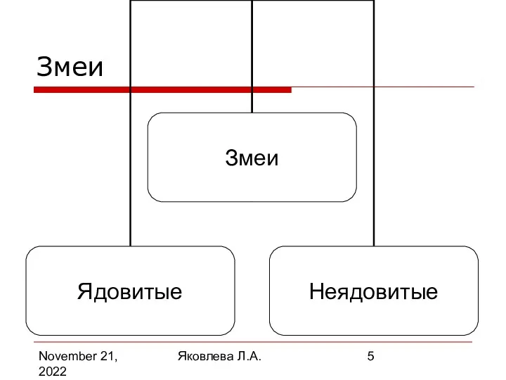 November 21, 2022 Яковлева Л.А. Змеи