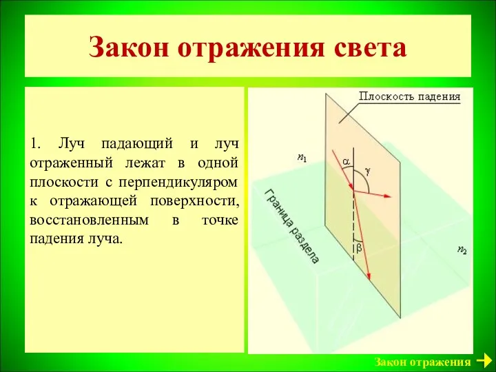 Закон отражения света 1. Луч падающий и луч отраженный лежат