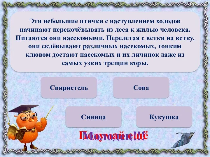 Свиристель Синица Кукушка Сова Подумай ещё Молодец!!! Эти небольшие птички