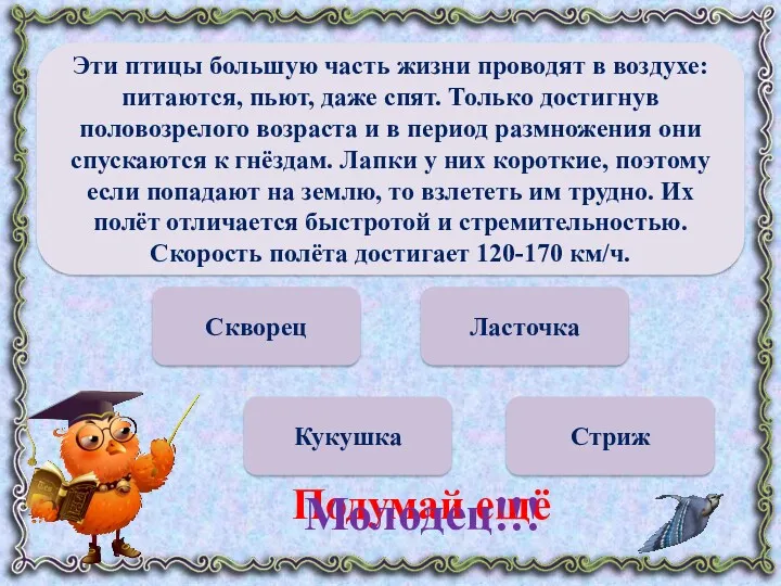 Скворец Кукушка Стриж Ласточка Подумай ещё Молодец!!! Эти птицы большую