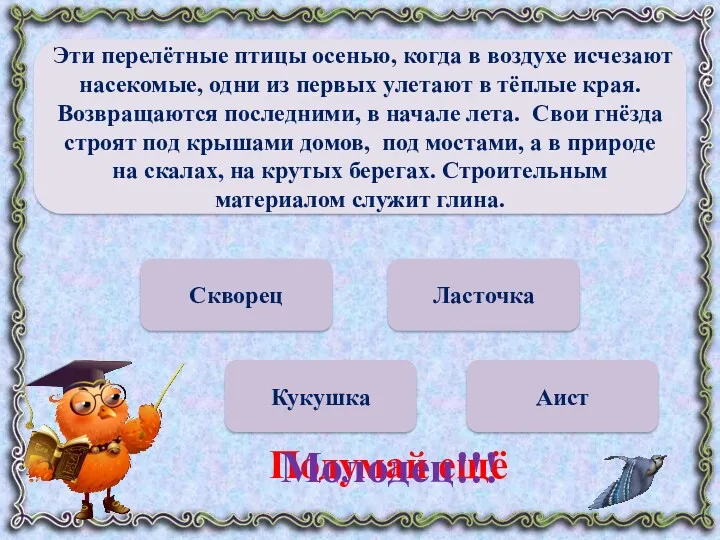 Скворец Кукушка Аист Ласточка Подумай ещё Молодец!!! Эти перелётные птицы осенью, когда в