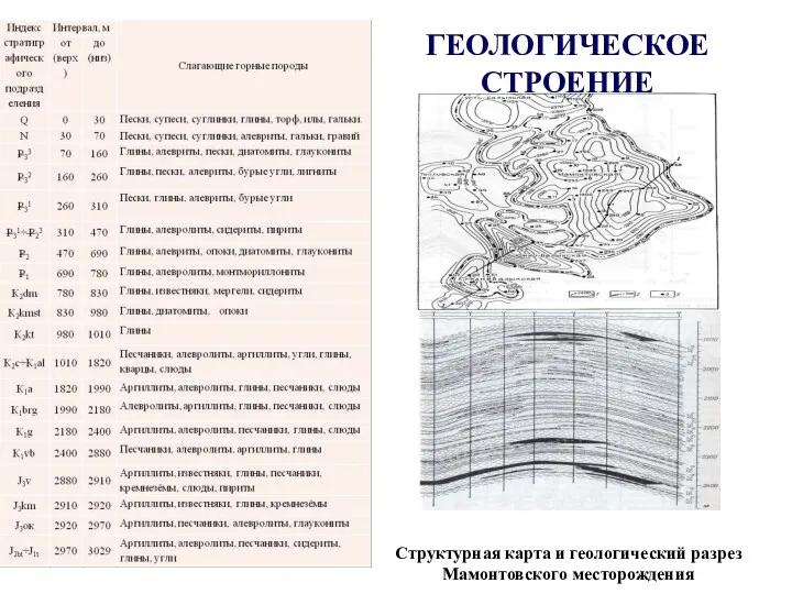 ГЕОЛОГИЧЕСКОЕ СТРОЕНИЕ Структурная карта и геологический разрез Мамонтовского месторождения