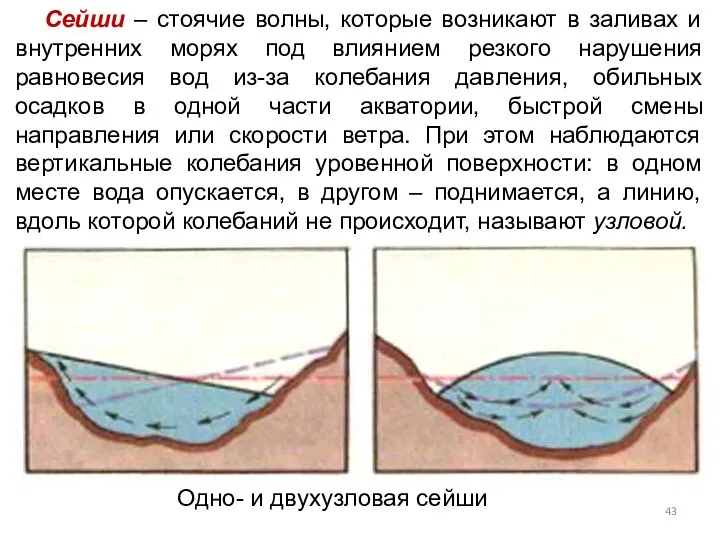 Сейши – стоячие волны, которые возникают в заливах и внутренних морях под влиянием