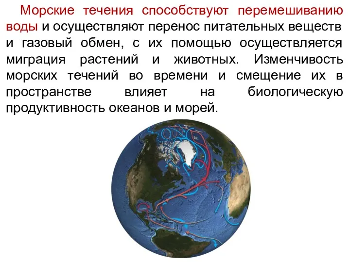 Морские течения способствуют перемешиванию воды и осуществляют перенос питательных веществ