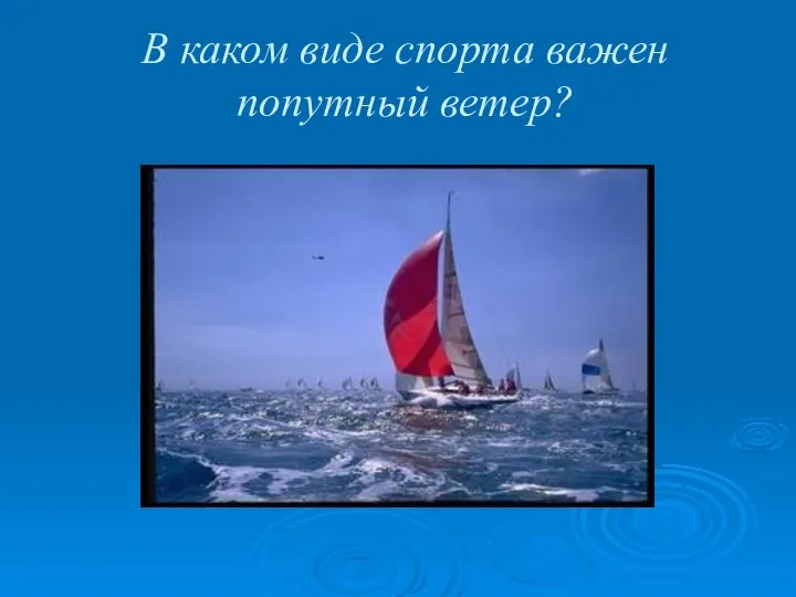 В каком виде спорта важен попутный ветер?