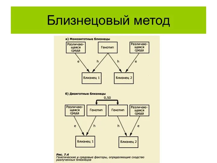 Близнецовый метод