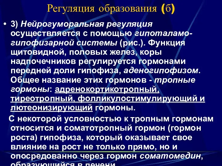 Регуляция образования (б) 3) Нейрогуморальная регуляция осуществляется с помощью гипоталамо-гипофизарной