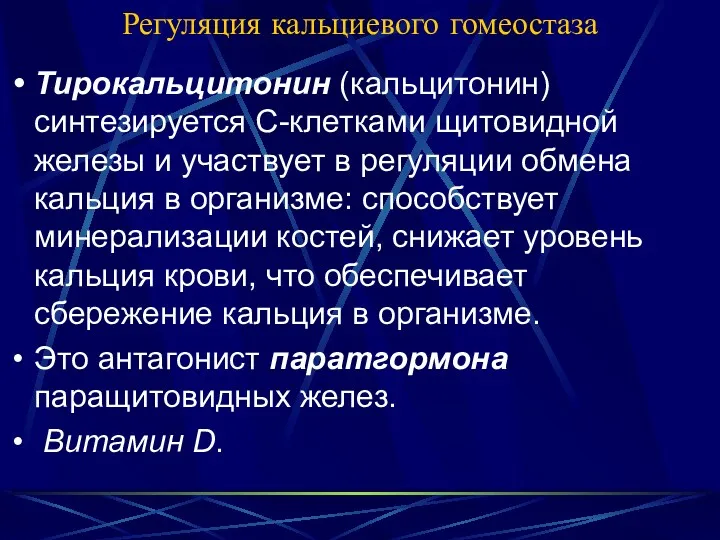 Регуляция кальциевого гомеостаза Тирокальцитонин (кальцитонин) синтезируется С-клетками щитовидной железы и