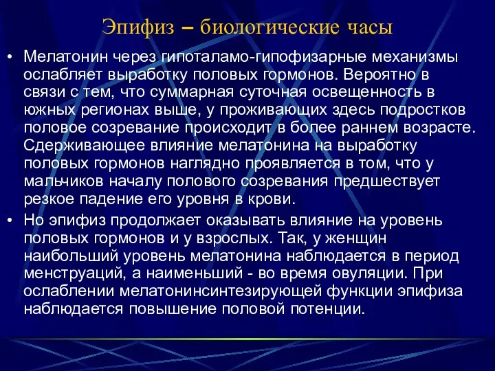 Эпифиз – биологические часы Мелатонин через гипоталамо-гипофизарные механизмы ослабляет выработку