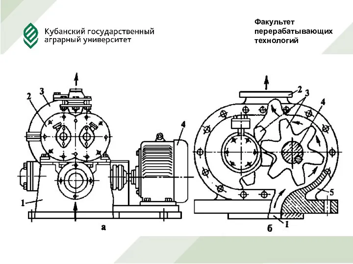 Факультет перерабатывающих технологий Руководитель Проф., д.т.н. Сокол Н.В. Выполнила студентка