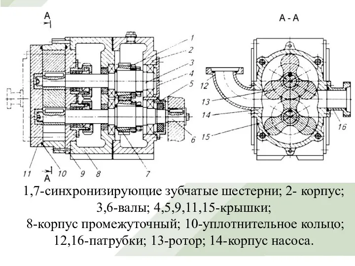 Факультет перерабатывающих технологий Руководитель Проф., д.т.н. Сокол Н.В. Выполнила студентка