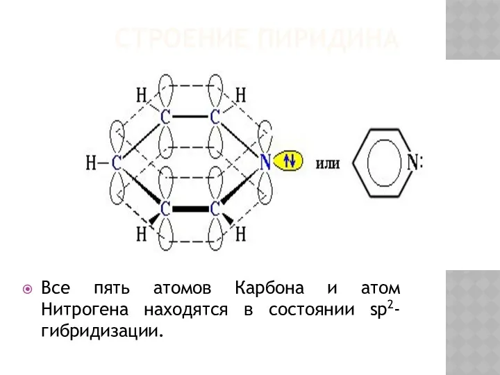 СТРОЕНИЕ ПИРИДИНА Все пять атомов Карбона и атом Нитрогена находятся в состоянии sp2-гибридизации.
