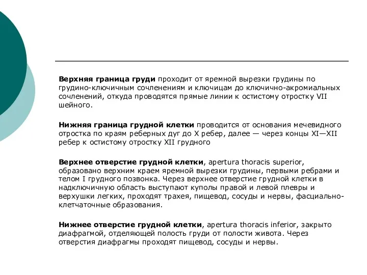 Верхняя граница груди проходит от яремной вырезки грудины по грудино-ключичным