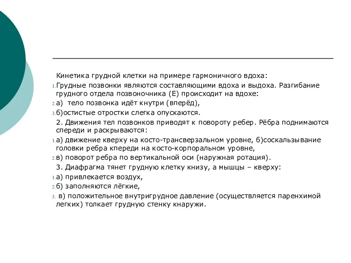 Кинетика грудной клетки на примере гармоничного вдоха: Грудные позвонки являются