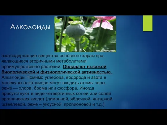 Алколоиды азотсодержащие вещества оснóвного характера, являющиеся вторичными метаболитами преимущественно растений.