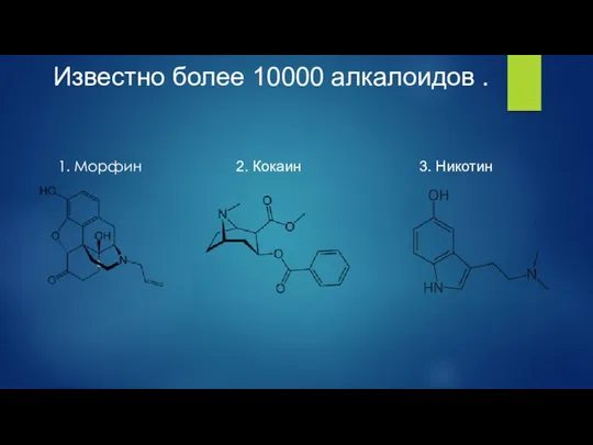 Известно более 10000 алкалоидов . 1. Морфин 2. Кокаин 3. Никотин
