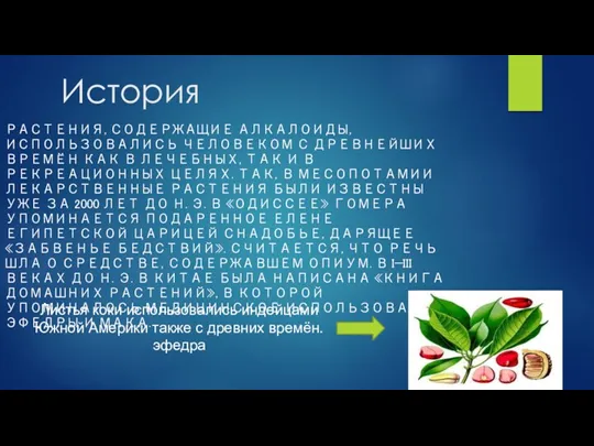 История РАСТЕНИЯ, СОДЕРЖАЩИЕ АЛКАЛОИДЫ, ИСПОЛЬЗОВАЛИСЬ ЧЕЛОВЕКОМ С ДРЕВНЕЙШИХ ВРЕМЁН КАК