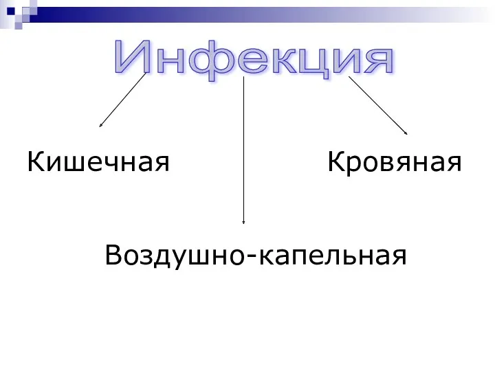 Инфекция Кишечная Воздушно-капельная Кровяная