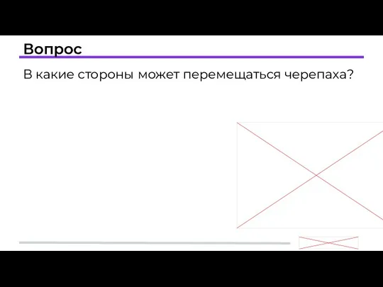 Вопрос В какие стороны может перемещаться черепаха?