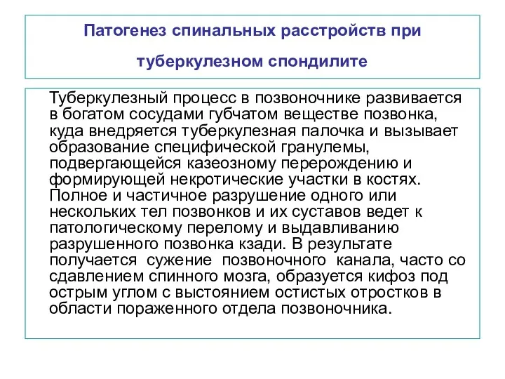 Патогенез спинальных расстройств при туберкулезном спондилите Туберкулезный процесс в позвоночнике