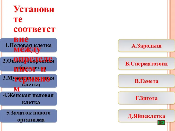 1.Половая клетка 2.Оплодотворенная яйцеклетка 4.Женская половая клетка 5.Зачаток нового организма