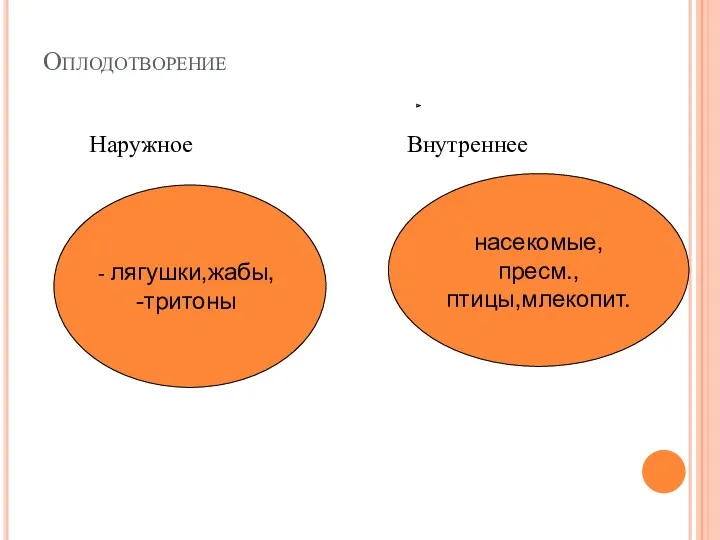 Оплодотворение Наружное Внутреннее насекомые,пресм., птицы,млекопит. лягушки,жабы, тритоны