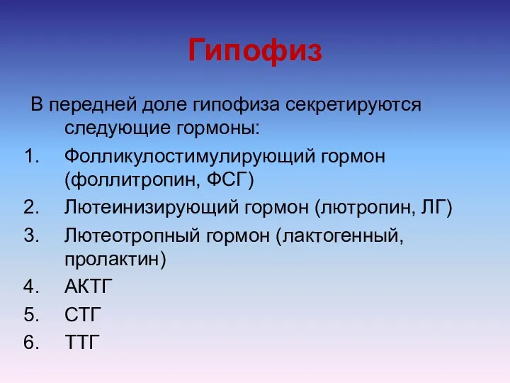 Гипофиз В передней доле гипофиза секретируются следующие гормоны: Фолликулостимулирующий гормон