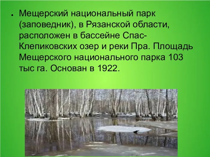 Мещерский национальный парк (заповедник), в Рязанской области, расположен в бассейне Спас-Клепиковских озер и