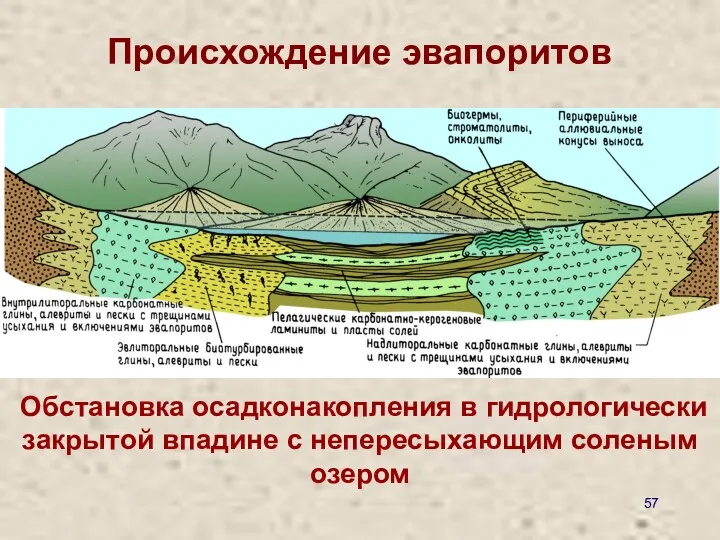 Обстановка осадконакопления в гидрологически закрытой впадине с непересыхающим соленым озером Происхождение эвапоритов